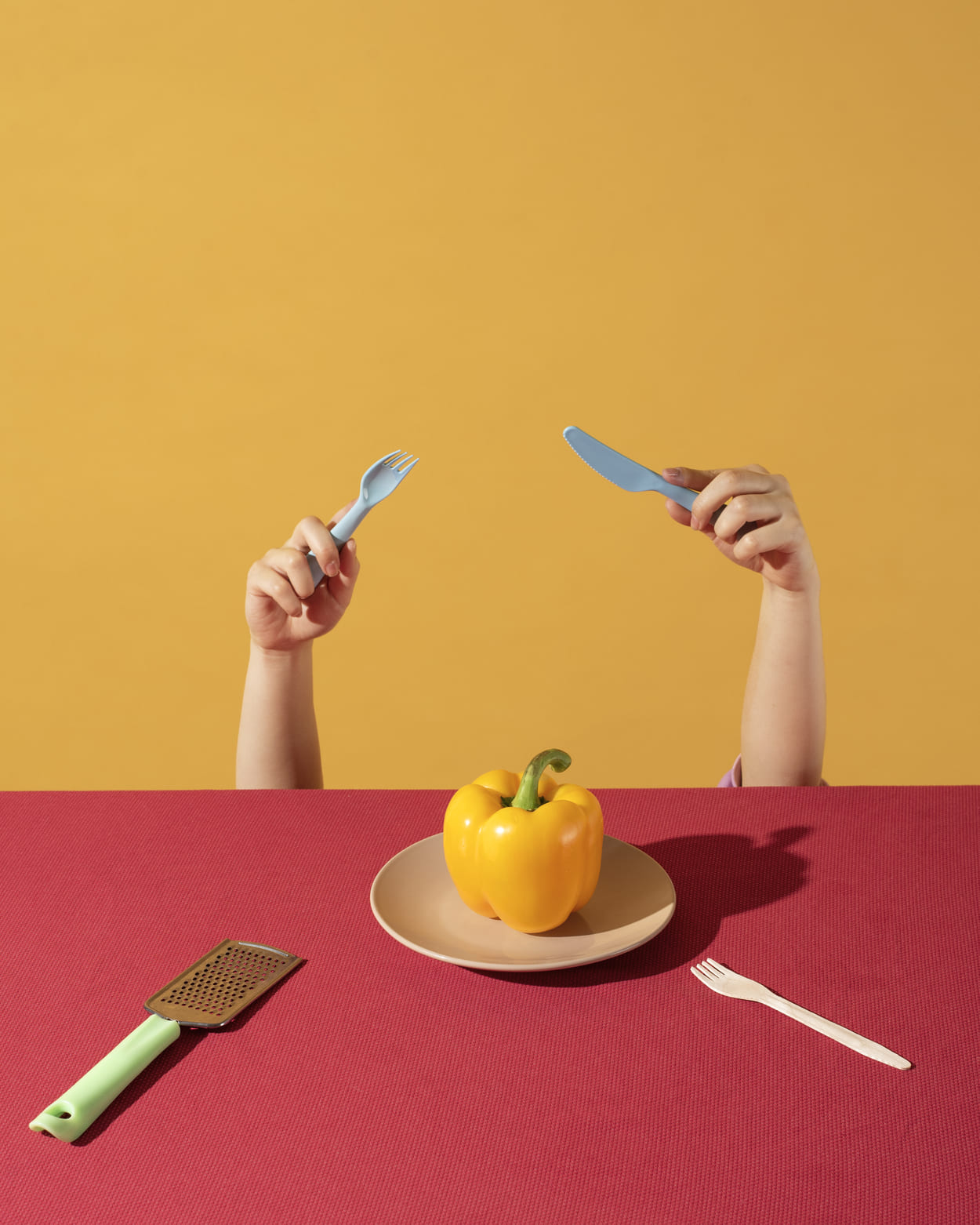 Encuestas de hábitos alimentarios